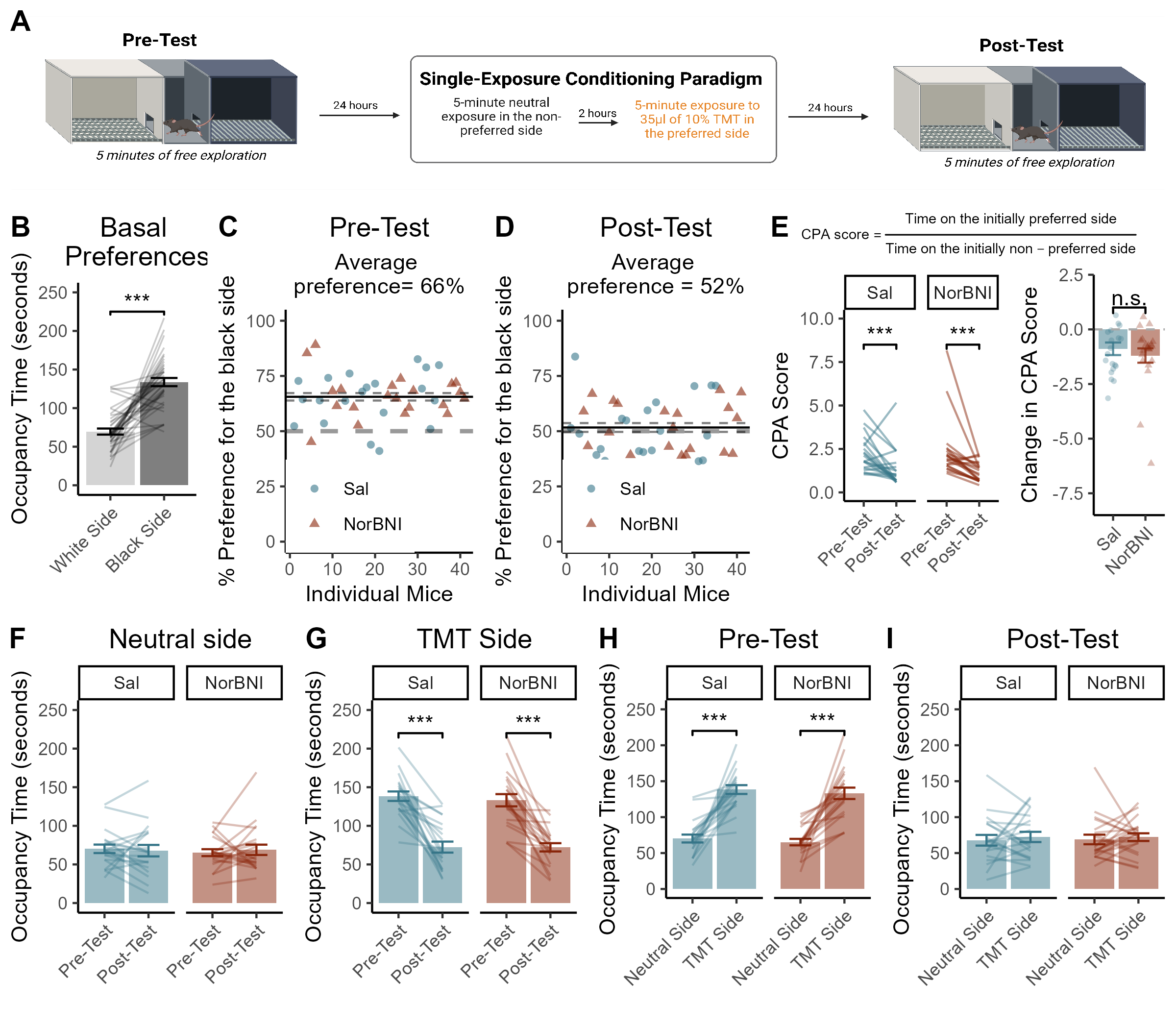 Timeline of experimental proceedings for Conditioned Place Aversion (A). The Conditioning apparatus used in these epxeriments was biased, such that mice exhibit an overall preference for the black compartment over the white compartment under basal conditions (B,C). The preference for the black compartment was reduced after the training session with TMT (D). Mice exhibited conditioned place aversion between the pre-test and the post-test (E) Which was not altered by NorBNI (F). Between the pre-test and the post-test, mice reduced time spent on the TMT-paried side (G) but did not exhibit a change in time spent on the netutral side (H). The strong side preferences that were observed during the Pre-test (I) were ablated by the single paring with TMT (J). Data presented as mean value +/- SEM, *** indicates p < 0.001.